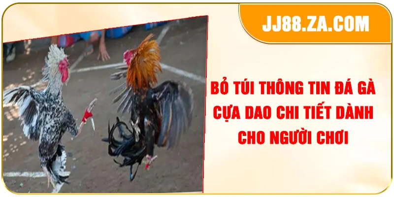 Bỏ túi thông tin đá gà cựa dao chi tiết dành cho người chơi
