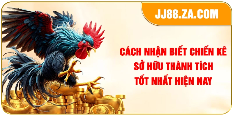 Cách nhận biết chiến kê sở hữu thành tích tốt nhất hiện nay