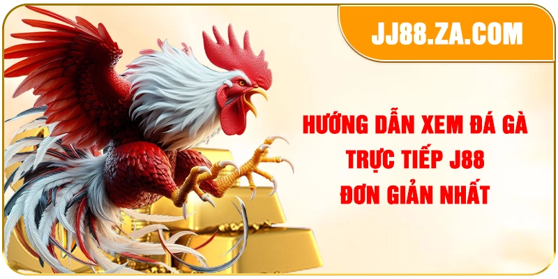 Hướng dẫn xem đá gà trực tiếp J88 đơn giản nhất