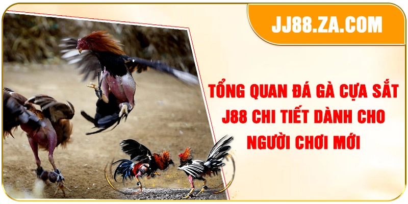 Tổng quan đá gà cựa sắt J88 chi tiết dành cho người chơi mới